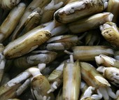 ����ʩ��