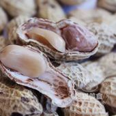 ��ɹ����