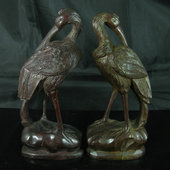 ����ľ��