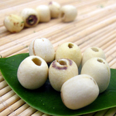 ����ͨ�İ���