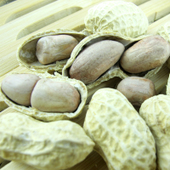 �������ֻ���