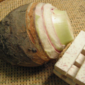 Ϳ��������