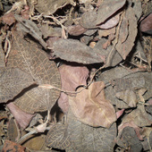 ��ƽ������