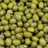 �����̶�