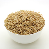 ���ɹ�ݯ��