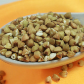 ���ɹ�����