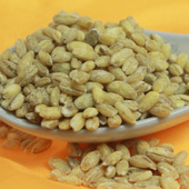 ���ɹŴ���