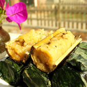 ������Ͳ��