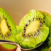 �żҽ�⨺���