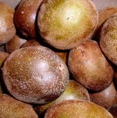 ����⨺���