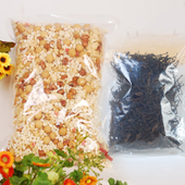 �����Ͳ�