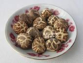 ͨ������