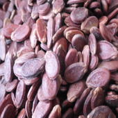 ���ݺ����