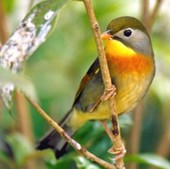 ������˼��