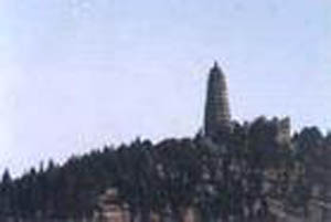 õ�����ɽ������