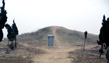 ��ɳ����Ĺ