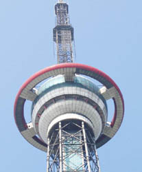 ���޵�����