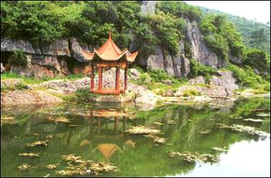 ���²�����ͥ����Ȫ