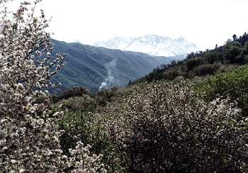 ���º��ҹ�