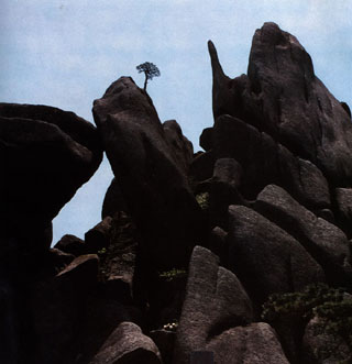 ����Ϭţ����