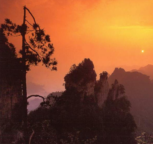 ������կ