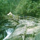 ��������ͤ