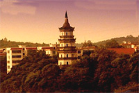 ����������