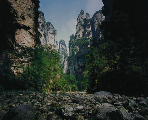 �������׵º�