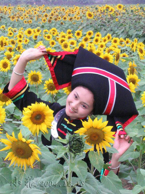 �������ֲ��´����ľ���