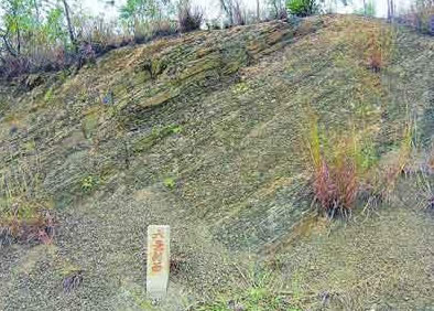 ������������ϵ������Ȼ������