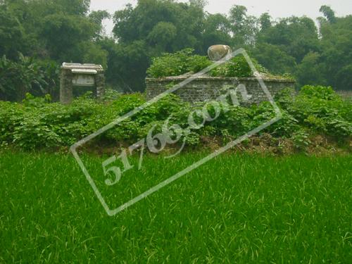 ��������Ĺ