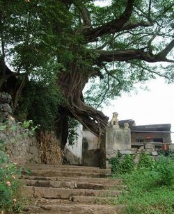 �����Ž�ǧ��Ž�