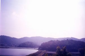 ���ݰ˱���