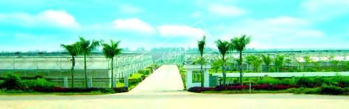 ����������ɫ��ҵ�Ƽ�԰