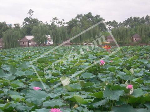 ��ɫ��ɽ��կ