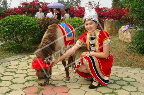 �����±���������԰