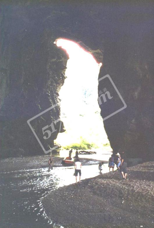 �ϵ���������