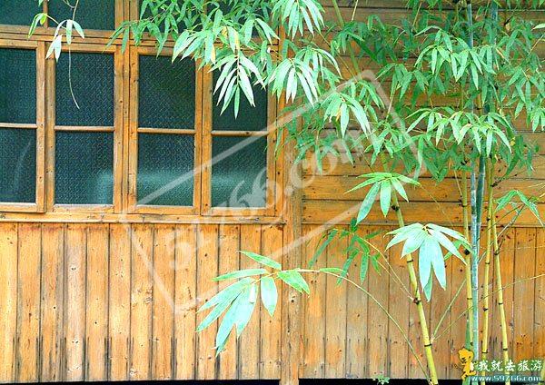 �ӳ��ϵ���Ȫ