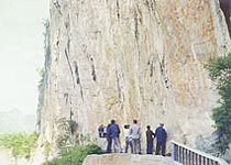 ����ɽ�ڻ�