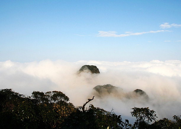 ����ʥ��ɽ