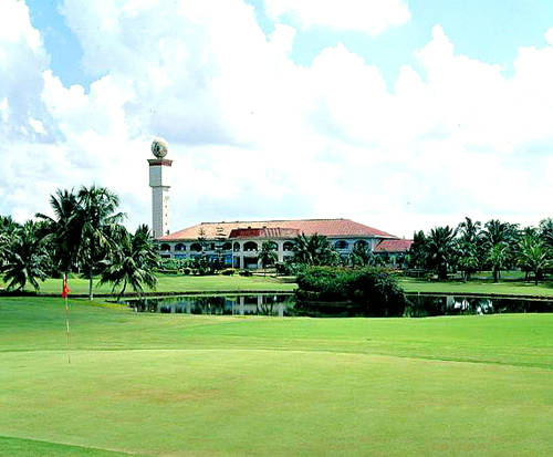 ����̨��߶�������ֲ�