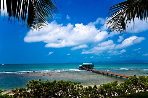 ���Ƕ��������