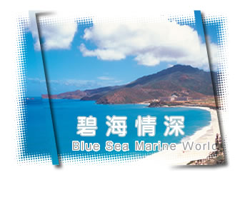 ���Ǳ̺����������