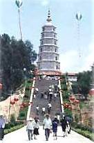 ���ʯ�����Ĺ�԰