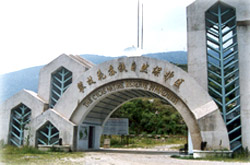 ���������Ȼ������