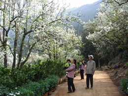 ���ɱ�����԰