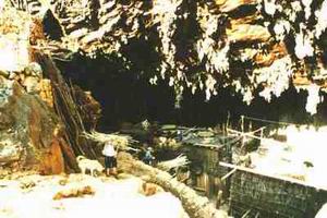 ��ɽ���Ҷ���