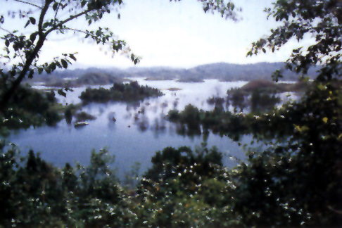 �º�ӯ�������Ǻ�