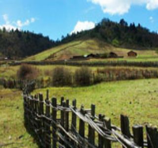 ŭ���޹���D����