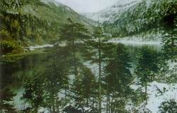 ŭ���ɵ��±Ⱥ�